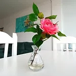 Apartament Waves *