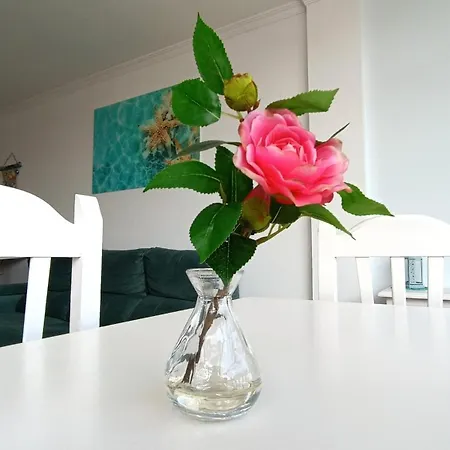 Appartement Waves *